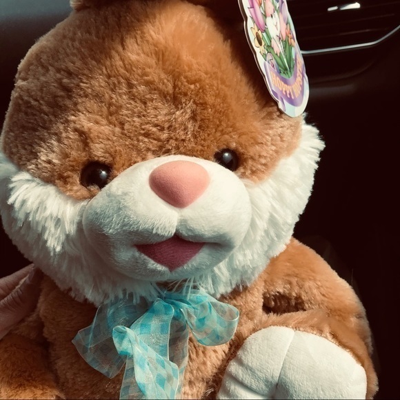 Hoppy Hopster Dan Dee 2015 Brown Plush Easter Rabbit 24”‎ Brown Rare W/Tags - Picture 2 of 12